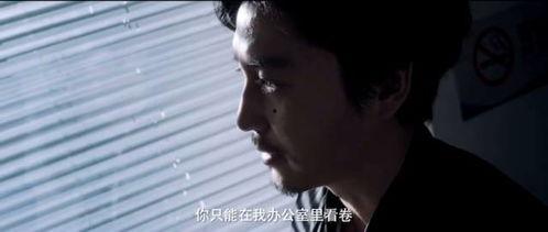 国产经典日姘视频,穿越时光的浪漫传奇