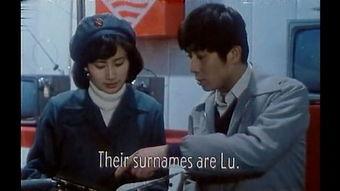 国产经典日姘视频,穿越时光的浪漫传奇