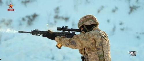 国产191步枪射击视频,精准射击展现我国军工实力
