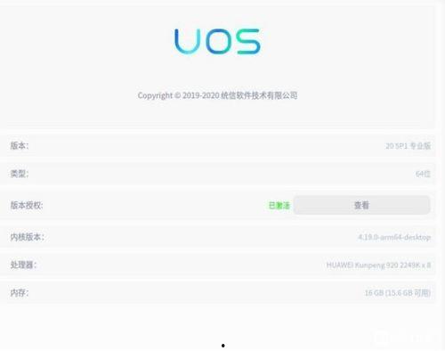 国产计算机视频网站,探索中国科技新篇章