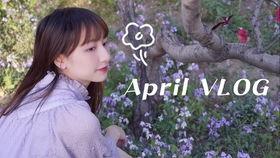 国产美女高清小视频,高清小视频中的绝美瞬间