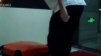 国产免费踩踏调教视频,一场禁忌的视觉盛宴