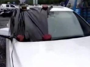 国产汽车报警视频,揭秘行车安全新篇章