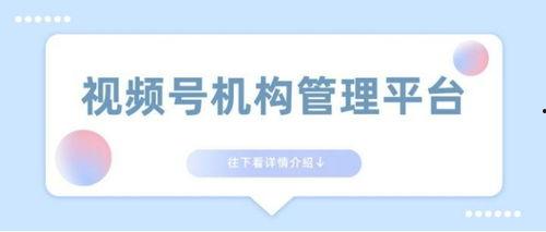 国产白酒入驻流程视频,一窥白酒市场新势力崛起之路