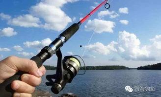 国产鱼竿钓鱼测试视频