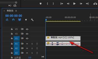 将国产的视频倒放的软件,揭秘国产视频倒放软件的神奇魅力