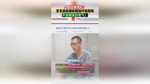 人民网点评国产传媒视频,品质与创新的完美融合