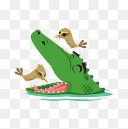 国产鳄鱼动画视频大全,精彩纷呈的童年回忆